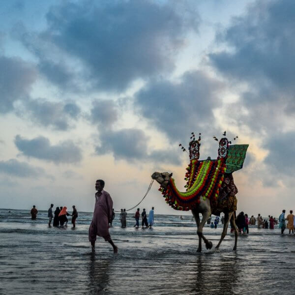 karachi beach camel riding